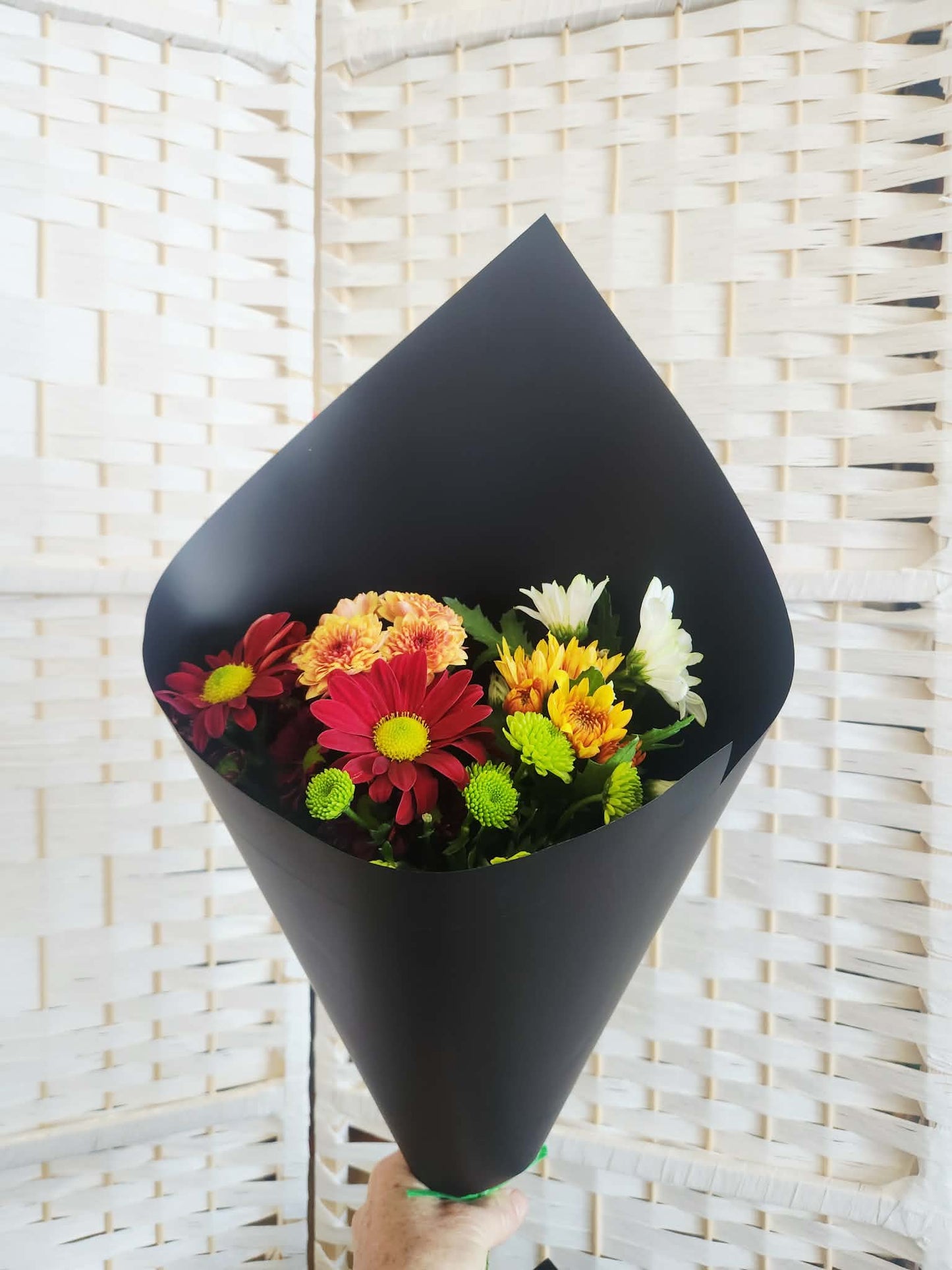 Multi Colour Spray Chrysanthemums