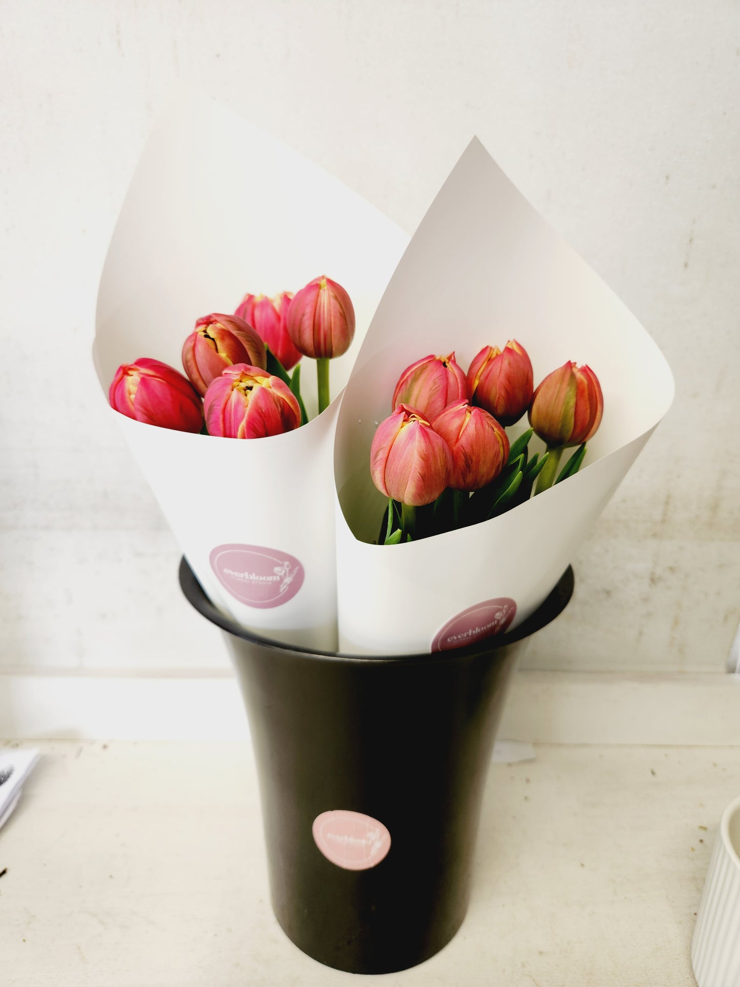 Tulip Cheer