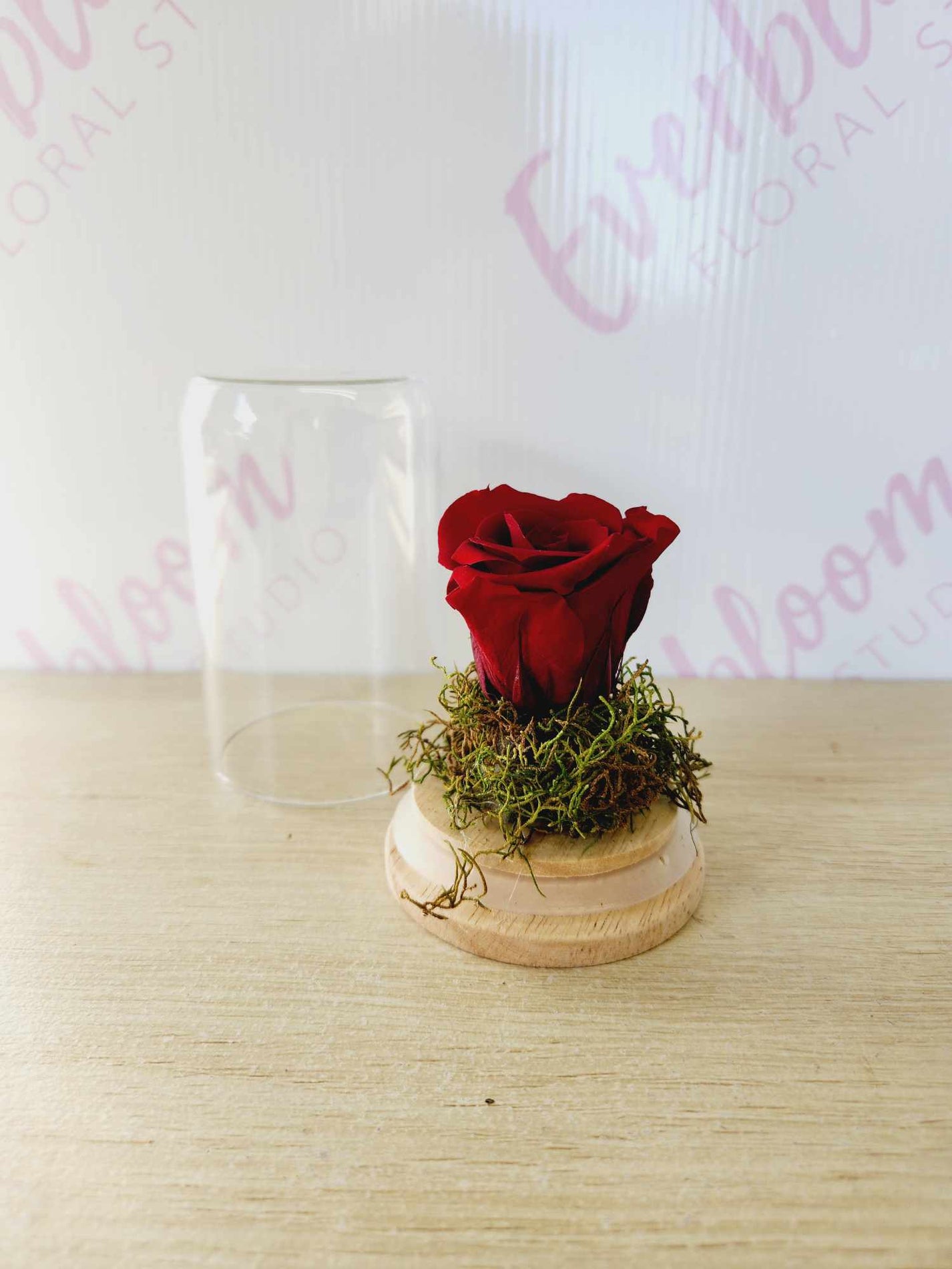 Preserved Rose Glass Dome - Mt Maunganui Florist - Everbloom Floral ...