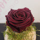 Burgandy preserved rose in glass dome from Everbloom Floral Studio