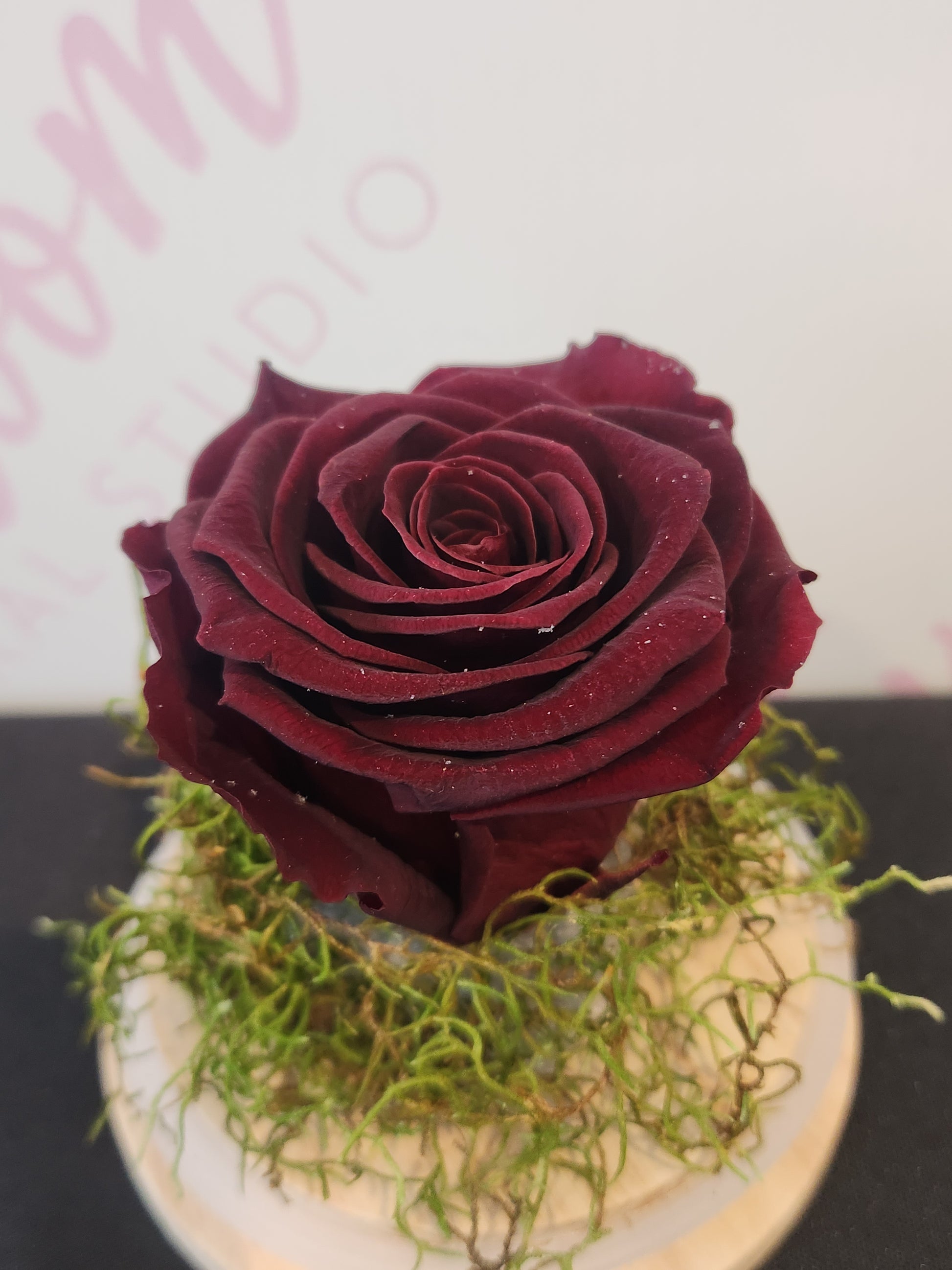Burgandy preserved rose in glass dome from Everbloom Floral Studio