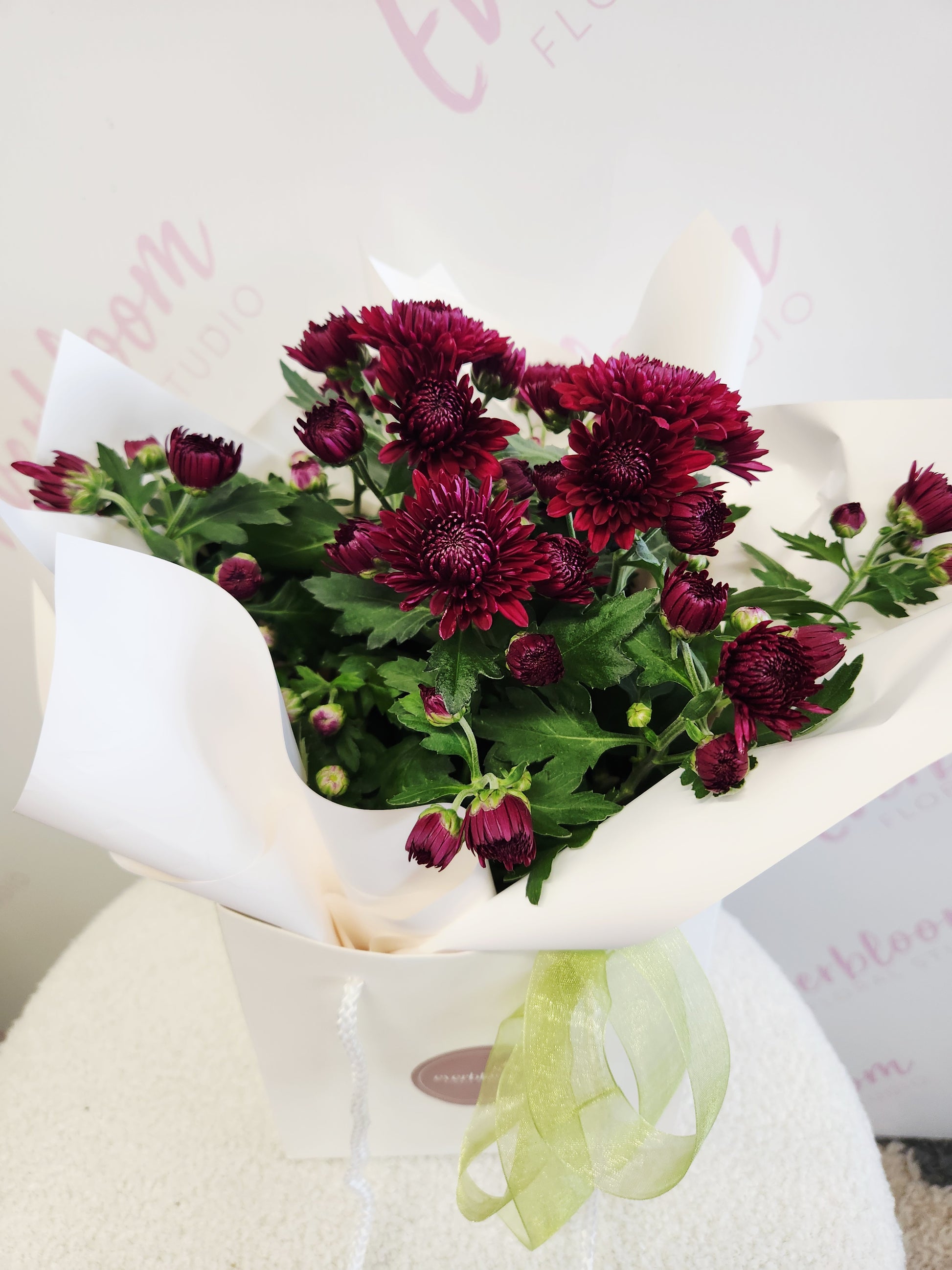 Plant of deep red flowers wrapped in white paper and Green bow. Everbloom floral studio Tauranga Florist