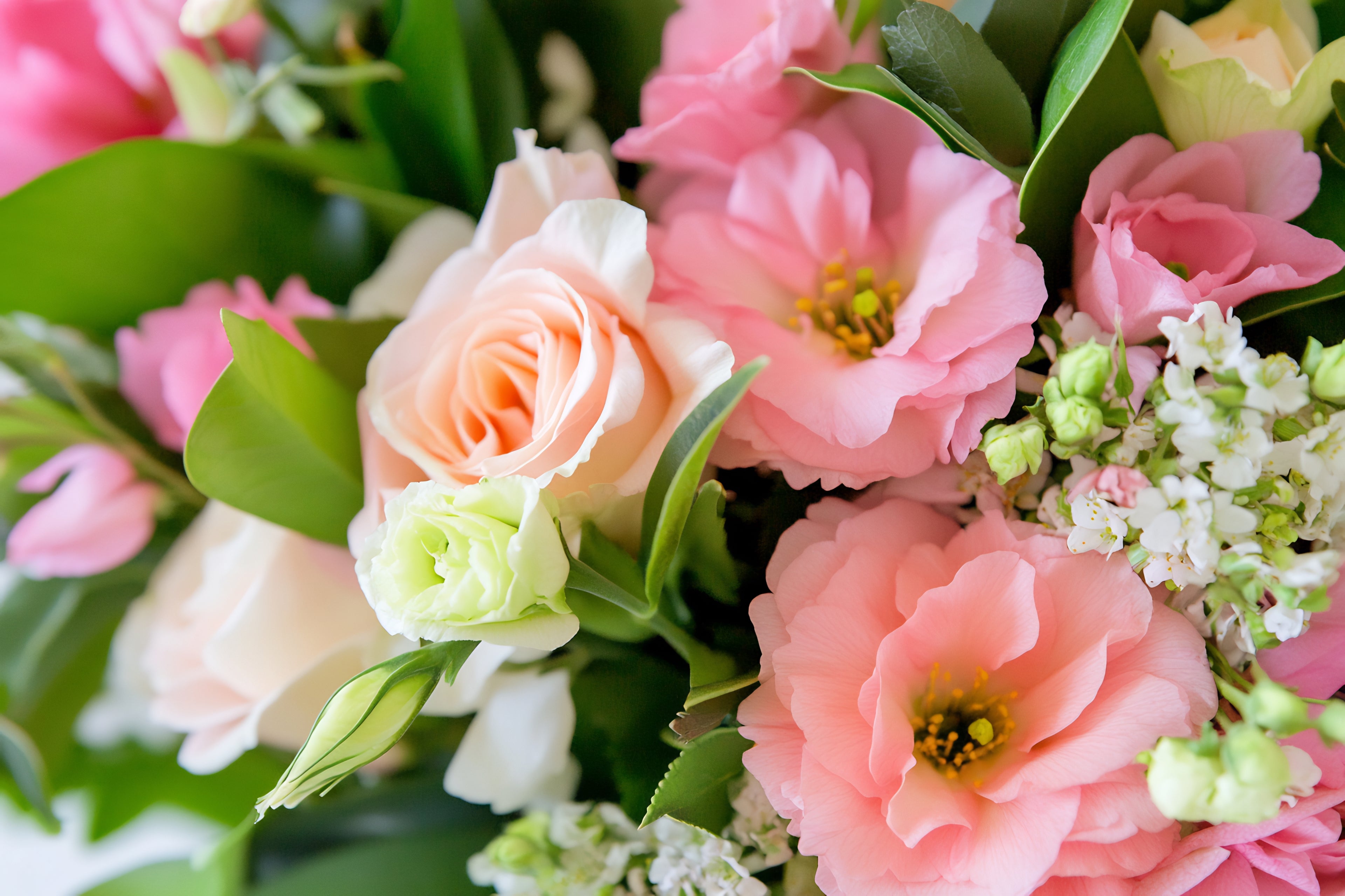 Beautiful fresh flower bouquet with roses. Send flowers with Everbloom floral studio. Same day flower delivery
Welcome Bay Florist. Tauranga