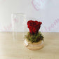 Red preserved rose in glass dome from Everbloom Floral Studio
