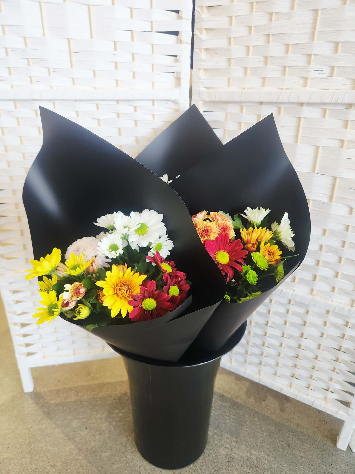 Multi Colour Spray Chrysanthemums