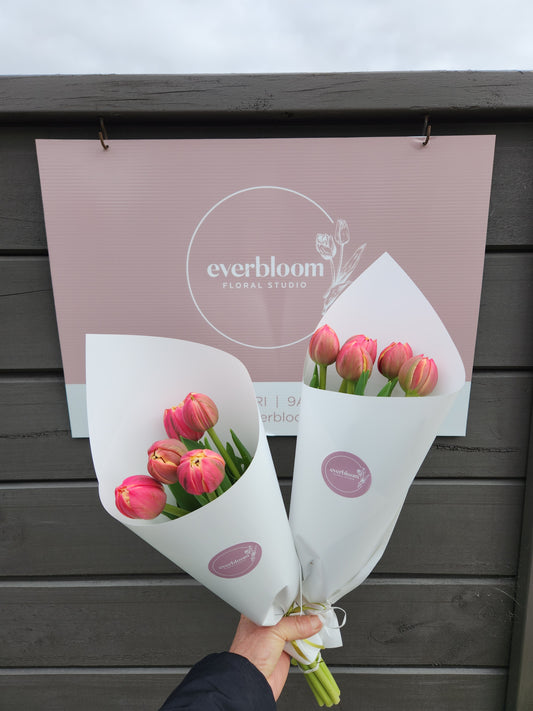 Tulip Cheer