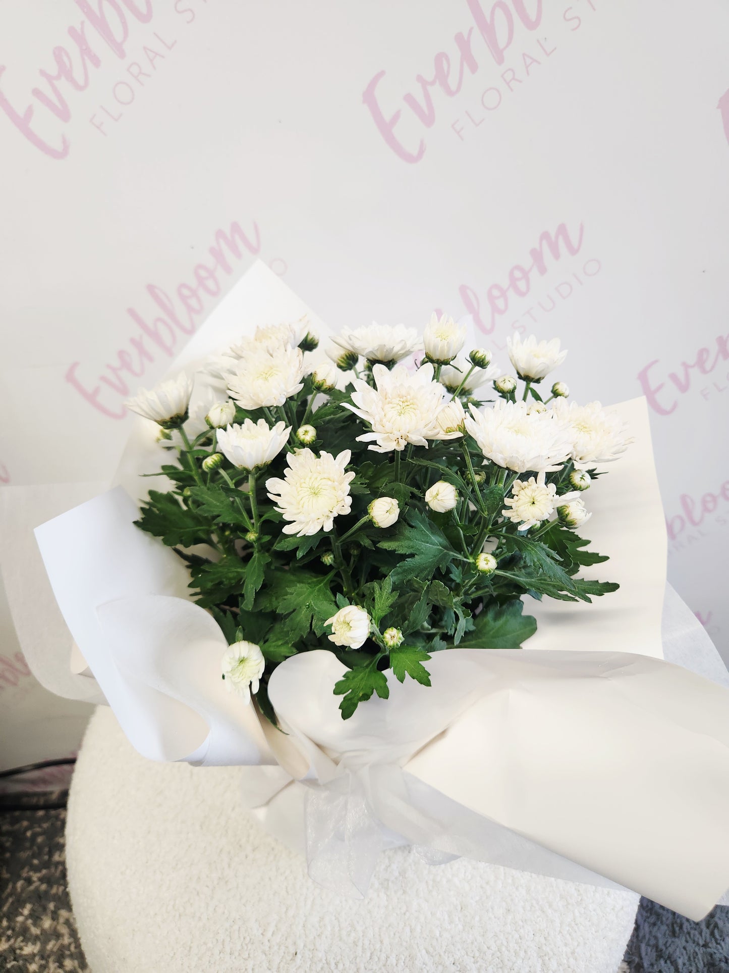 Potted Chrysanthemum