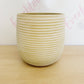 Potted Peace Lily - Everbloom Floral Studio