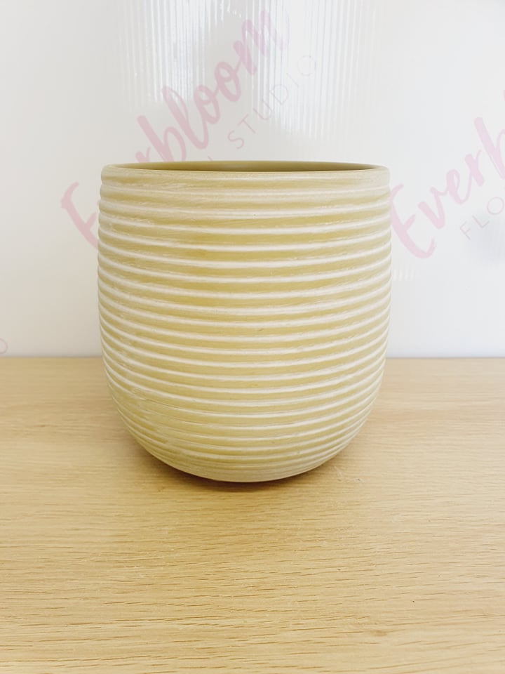 Potted Peace Lily - Everbloom Floral Studio