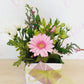 Mini Boxed Posy - Everbloom Floral Studio. Mount Maunganui and Papamoa Local Florist