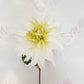 Dahlia - Everbloom Floral Studio
