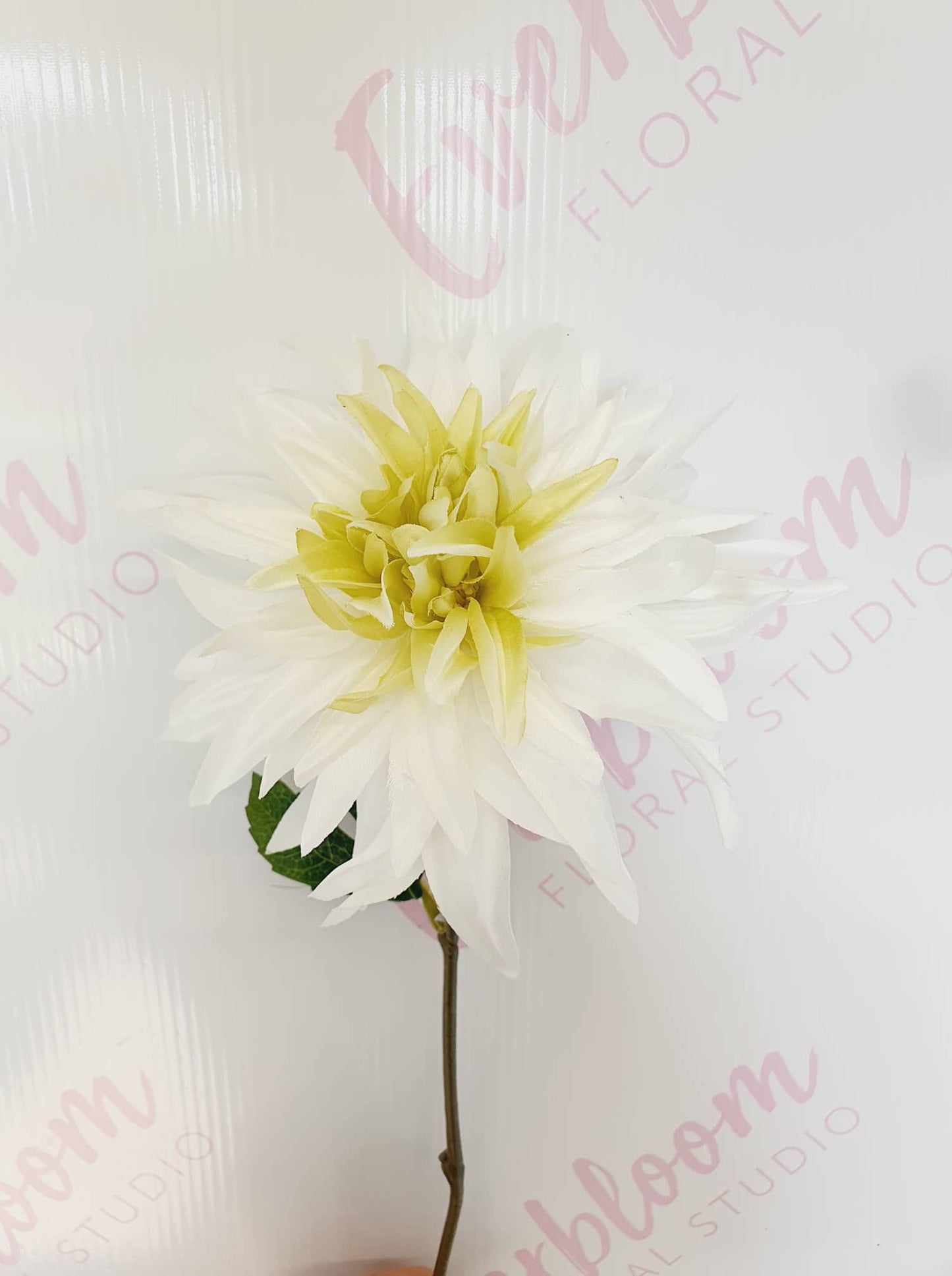 Dahlia - Everbloom Floral Studio