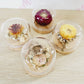 Dried flower glass domes - Everbloom floral studio. Mount Maunganui florist