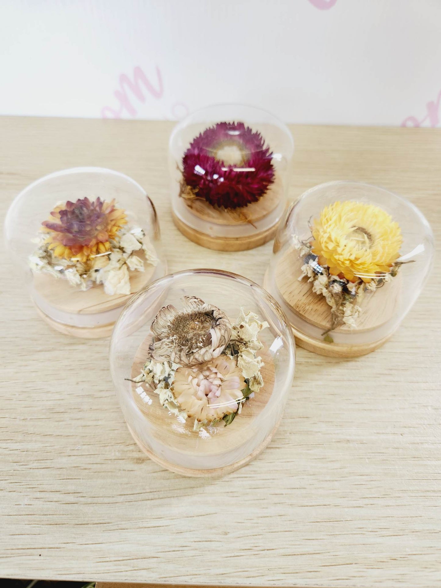 Dried flower glass domes - Everbloom floral studio. Mount Maunganui florist