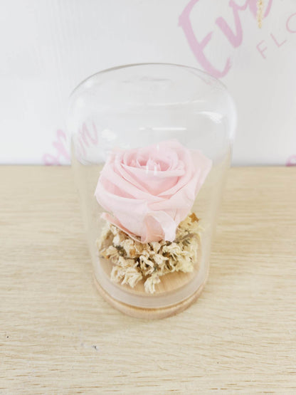 Pink preserved rose in glass dome from Everbloom Floral Studio