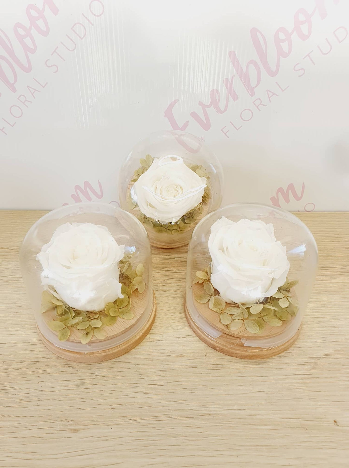 Preserved white rose