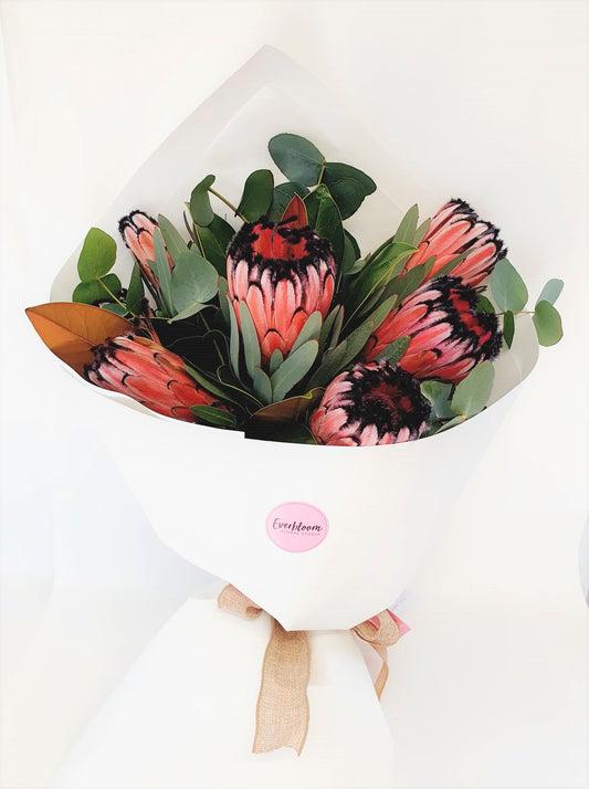 Protea Princess - Everbloom Floral Studio