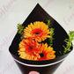 Trio of Gerberas - Everbloom Floral Studio