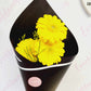 Trio of Gerberas - Everbloom Floral Studio