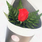 Red roses for valentines day from your local mount maunganui and papamoa florist. Same day delivery. Everbloom Floral Studio